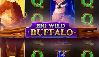 Big Wild Buffalo (Большой дикий буйвол)