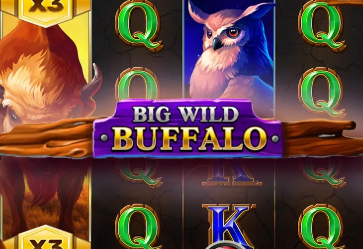 Wild Buffalo (Дикий Буйвол)